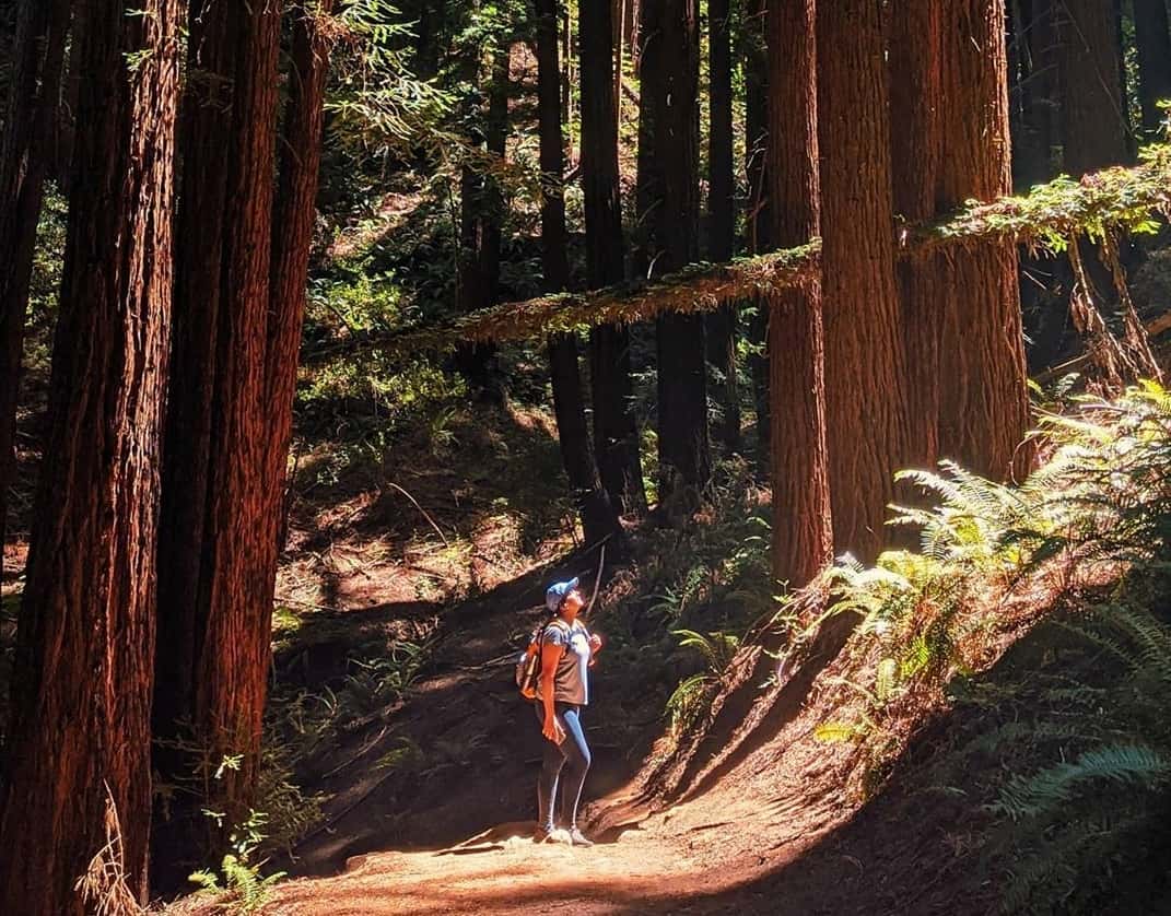 Top 10 Peaceful Outdoor Vibes in Oakland