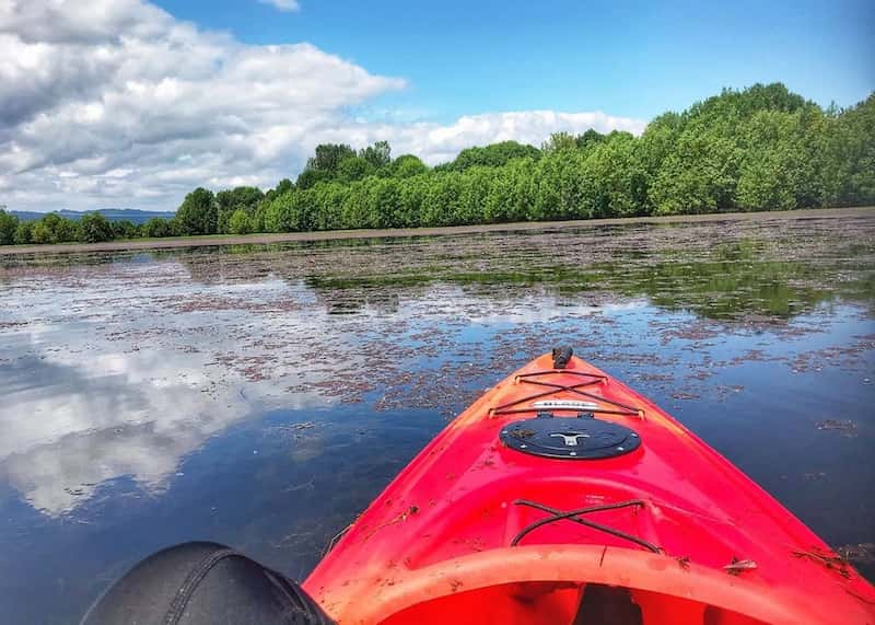 kayaking in Bybee Wetlands