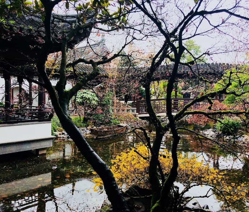 Karma in a World of Calm at Lan Su Chinese Gardens