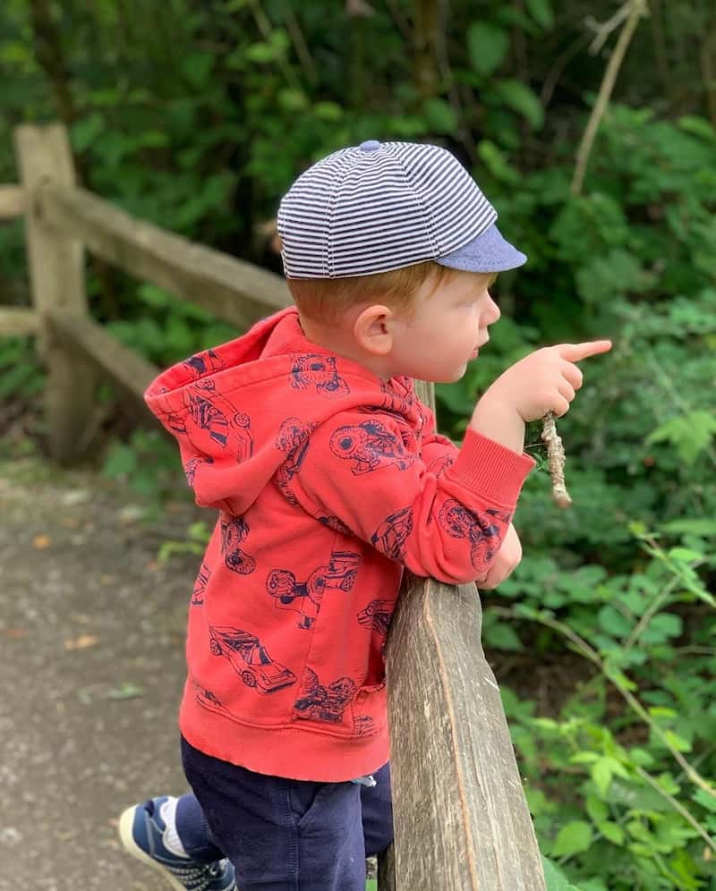 child at fence in the woods