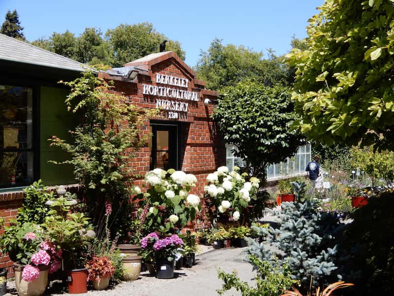 10 Best Plant Nursery & Gardening Vibes in the East Bay