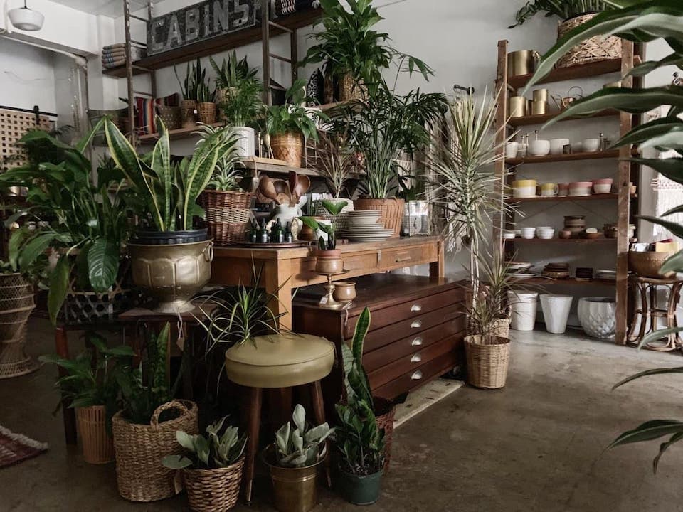 Best Plant Stores in Portland