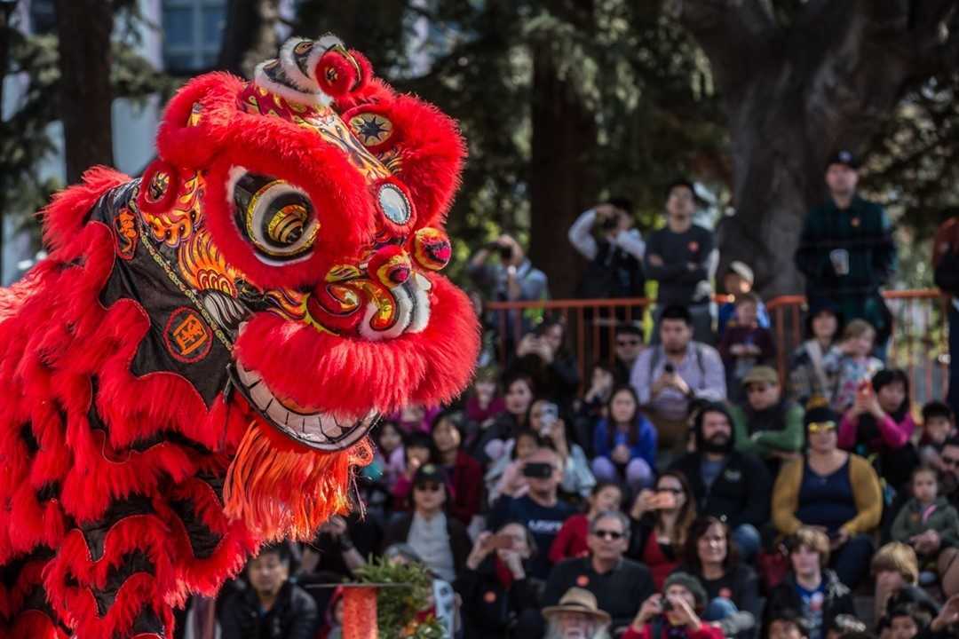 Oakland’s Winter Bucket List