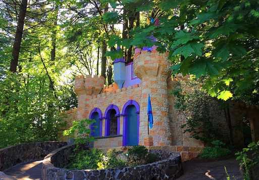 Finding Yourself at Enchanted Forest