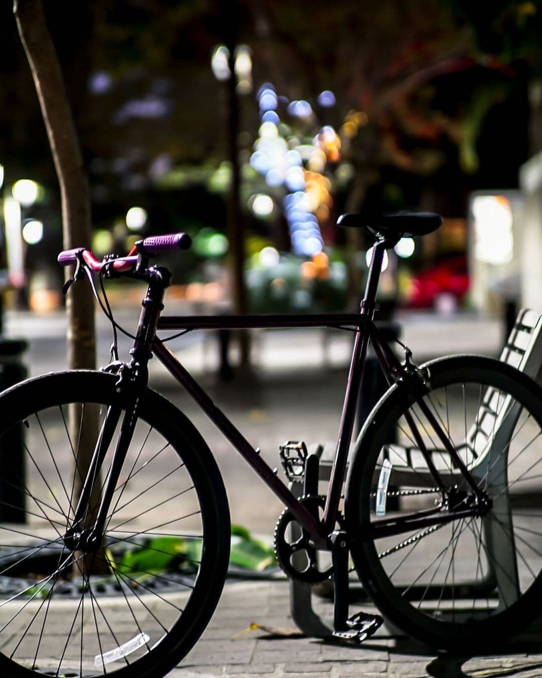 Guadalajara’s Centro by Bike