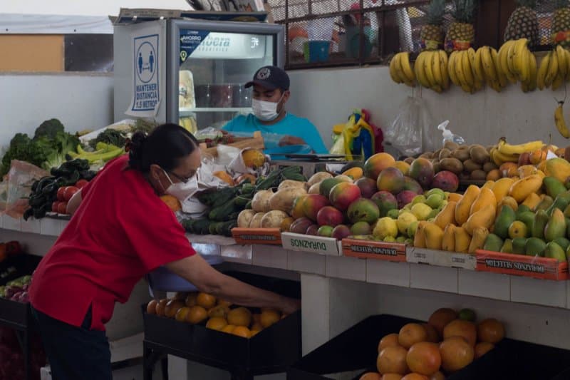 Fresh Foods & Healthy Surrounds in Guadalajara