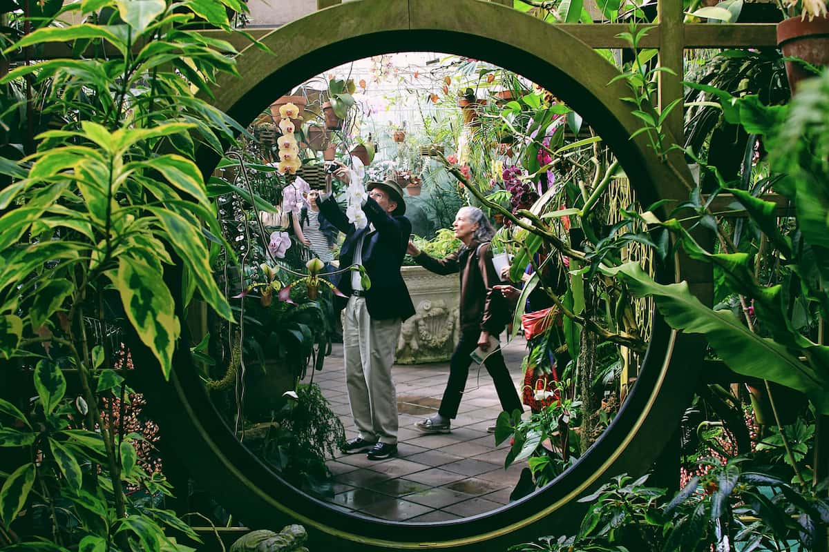 San Francisco’s Winter Bucket List