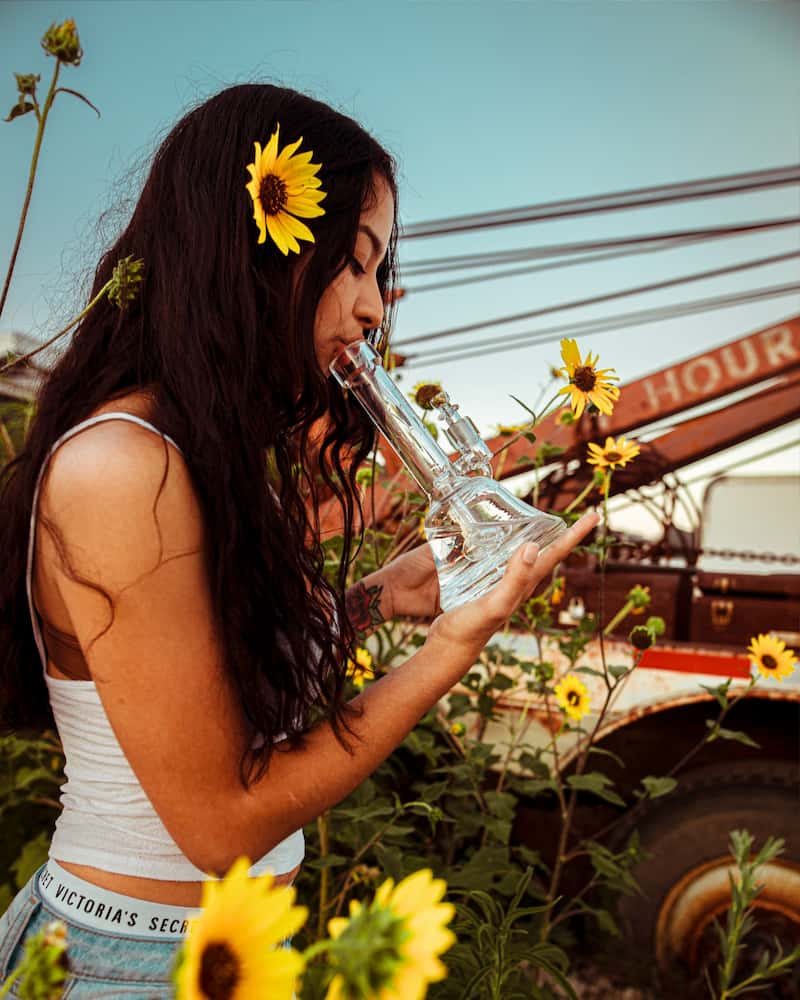 Conscious Consumption — A Community Cannabis Guide to Oakland