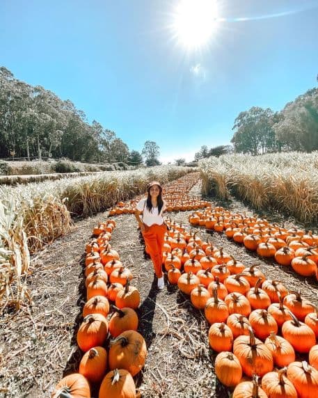 Get Your Fall Vibe On With Pumpkin Patches and Moonlit Mazes