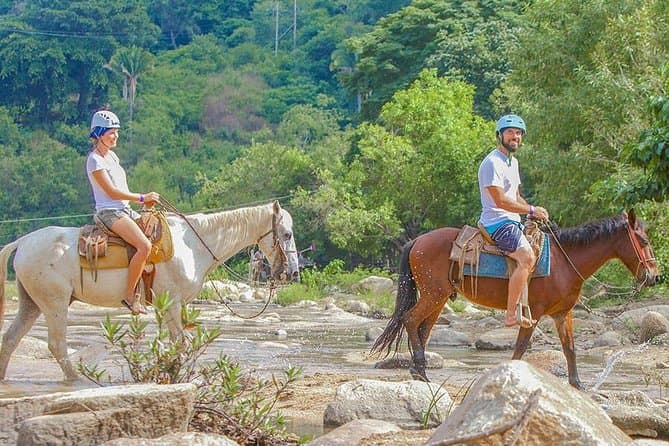 Sea Safari and Horse Ride