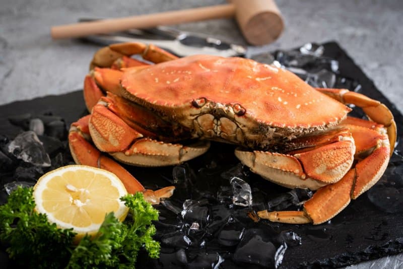 Deck the Halls with Dungeness Crab in San Francisco