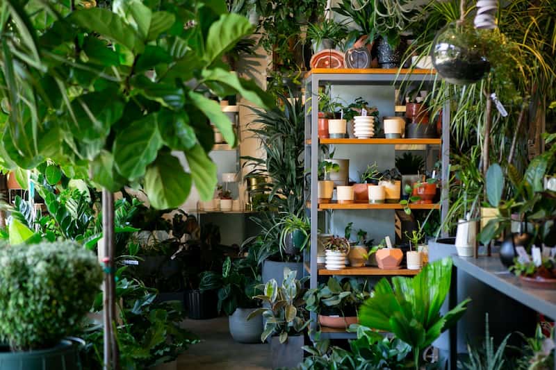 Seattle’s Top Plant Shops