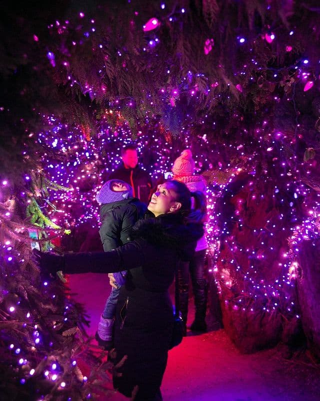 Enjoy a Winter Wonderland at the VanDusen Festival of Lights