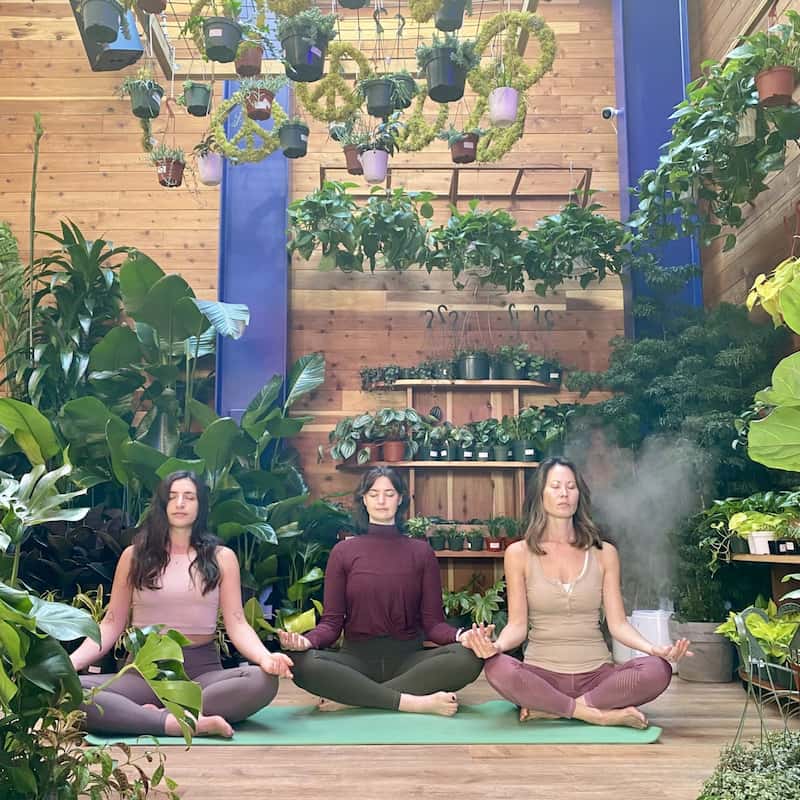 A Self-Care Guide to San Francisco
