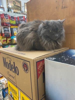 George's Market