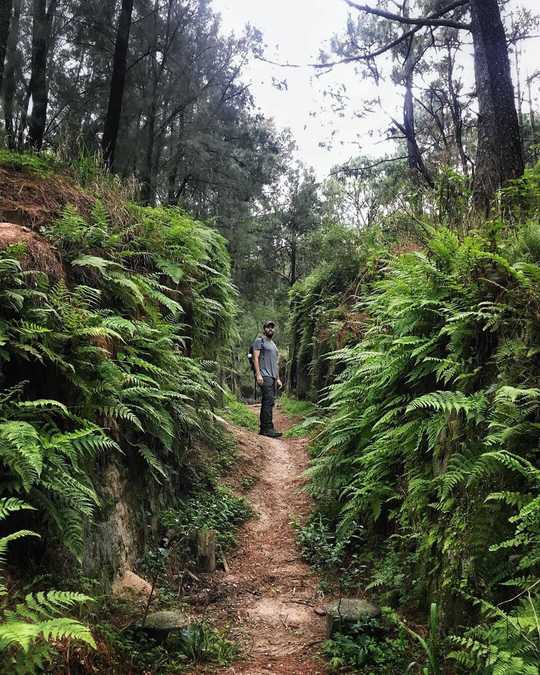 Urban Escapes to Bosque los Colomos