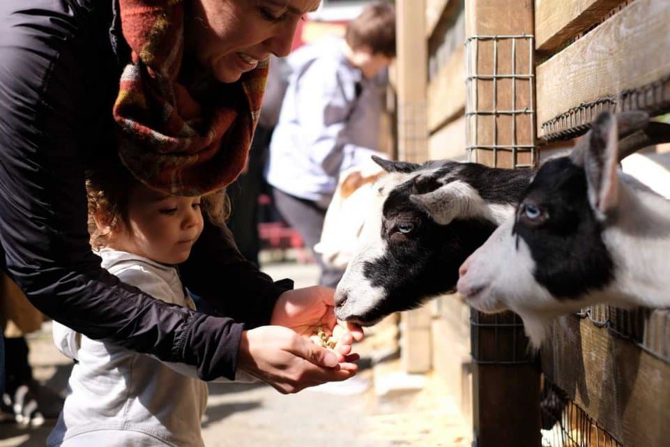 Family Day Trips for Fun Outdoors