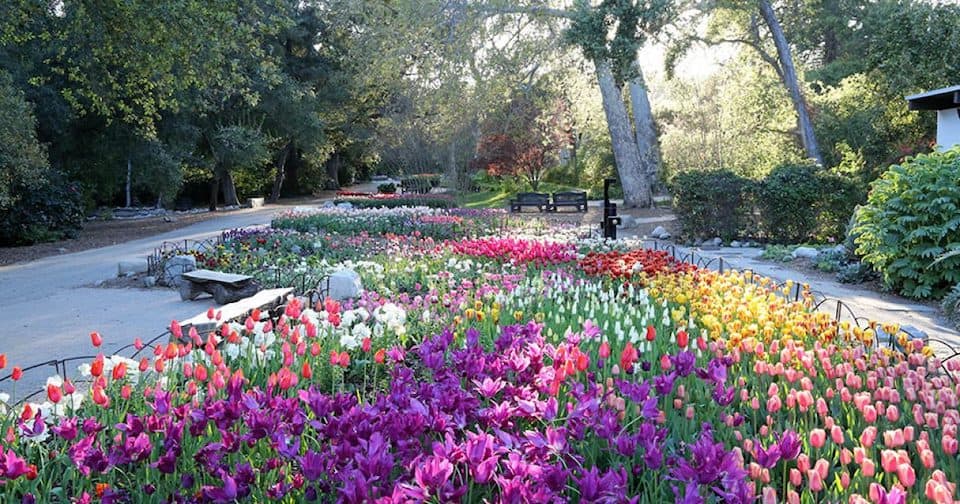 Scenic Vibes: All the Must See Things in Los Angeles