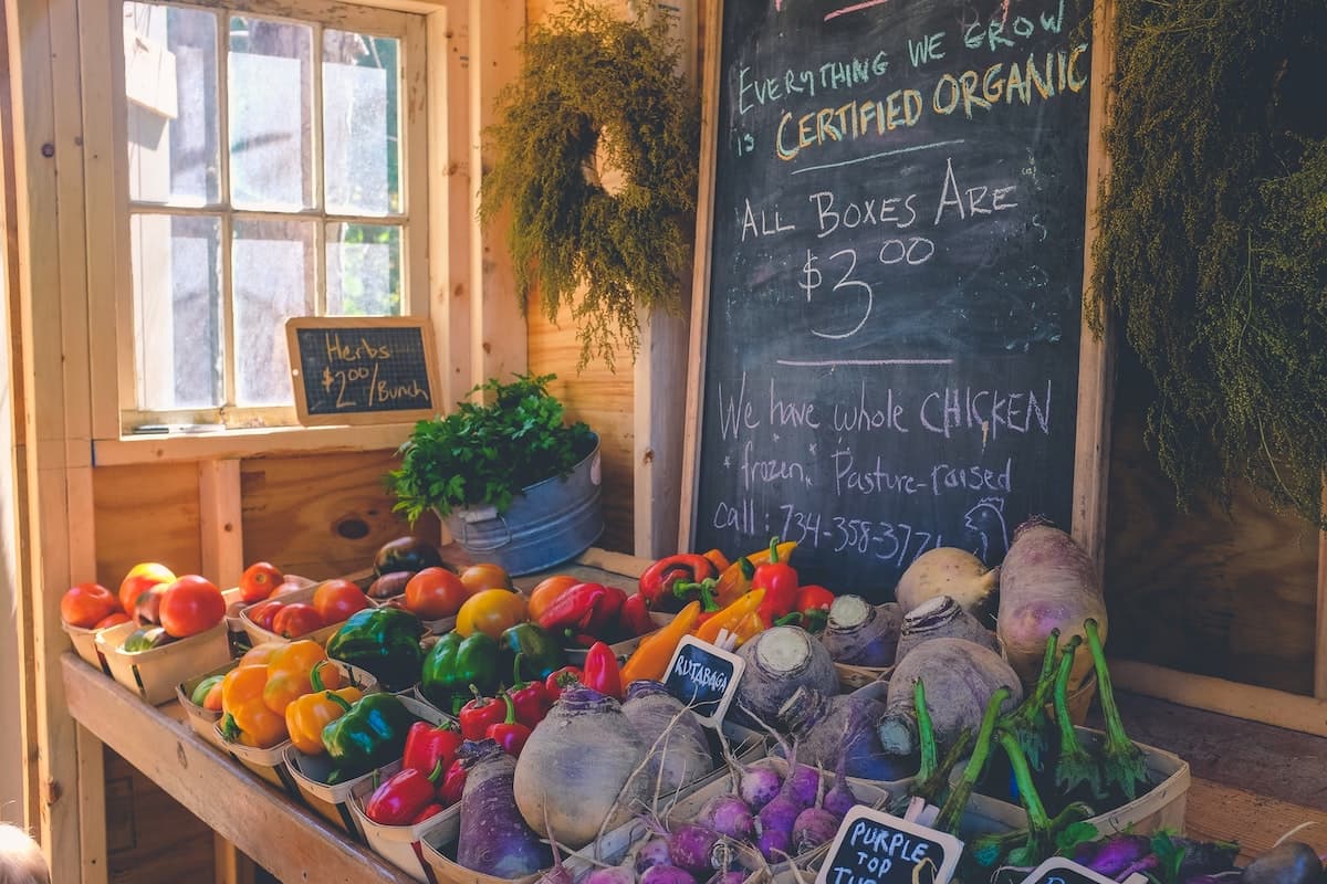 Green Vibes: Support Sustainable Businesses in Oakland and Berkeley