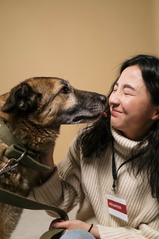 Giving Back: A Guide to Getting Involved with Your Community