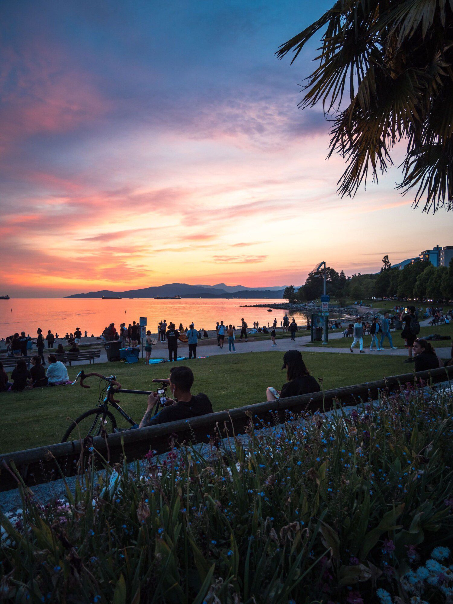 Your Budget Guide to Going Out
