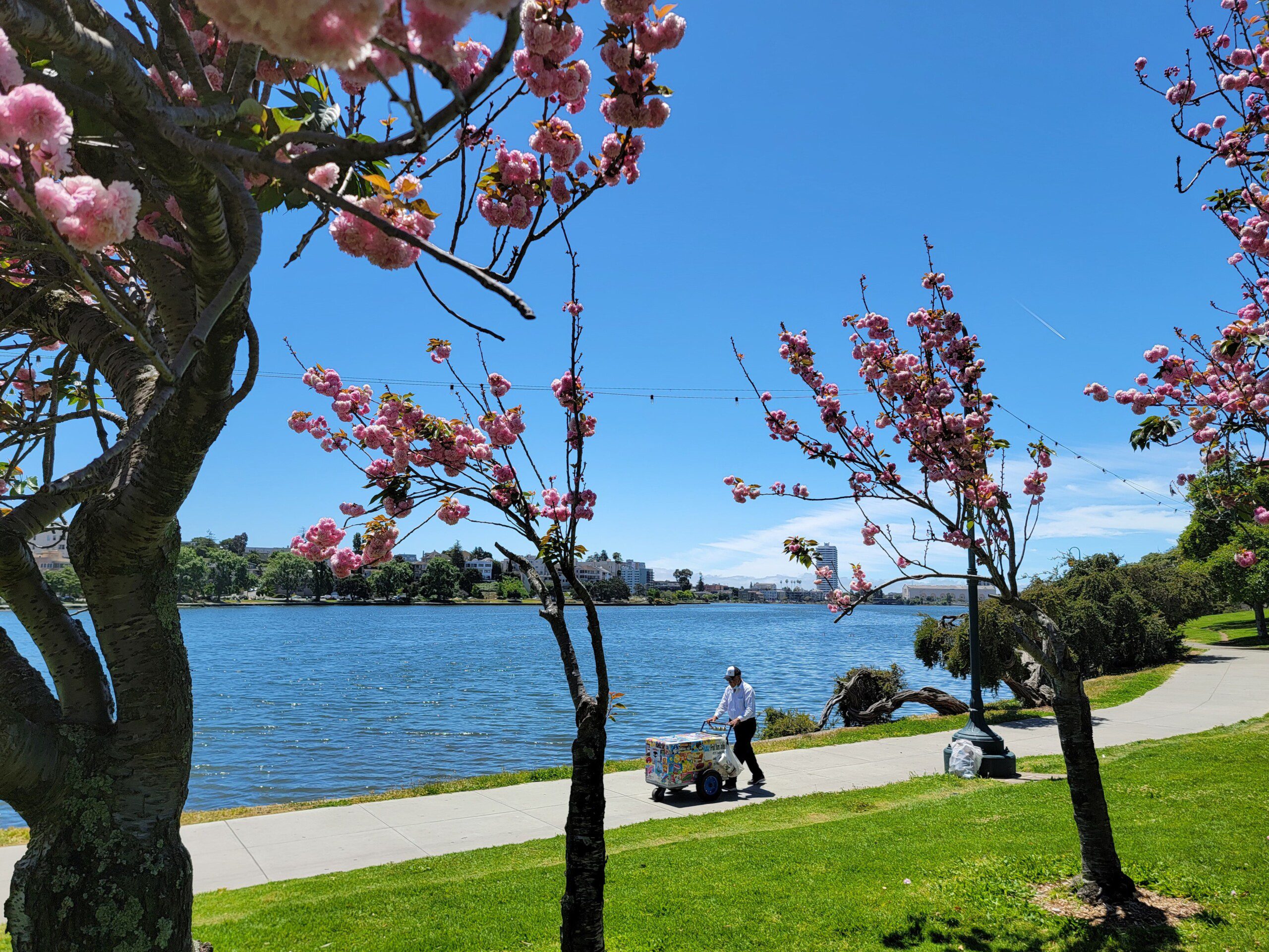 Downtown Oakland Guide: Experiences from Social to Serene
