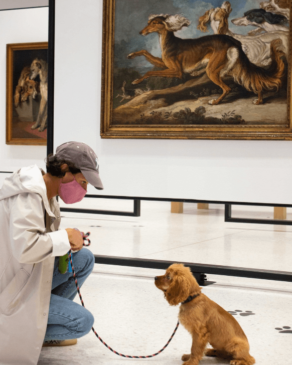 Hidden Gem Museums in New York