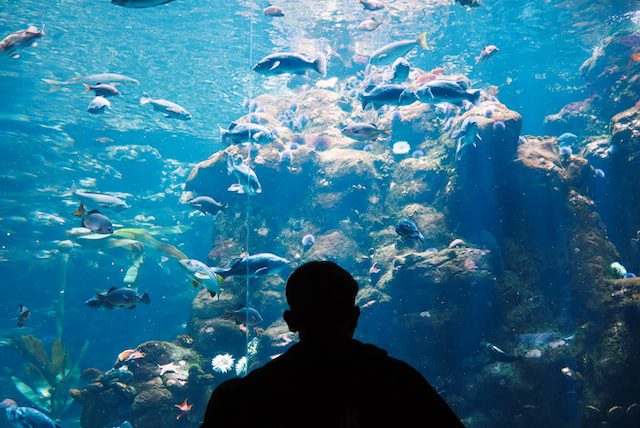 Top 10 Museums in San Francisco