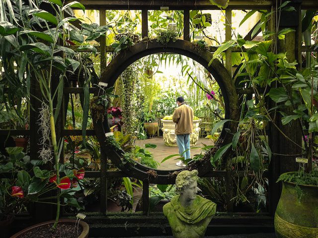 In Bloom: San Francisco Botanical Garden