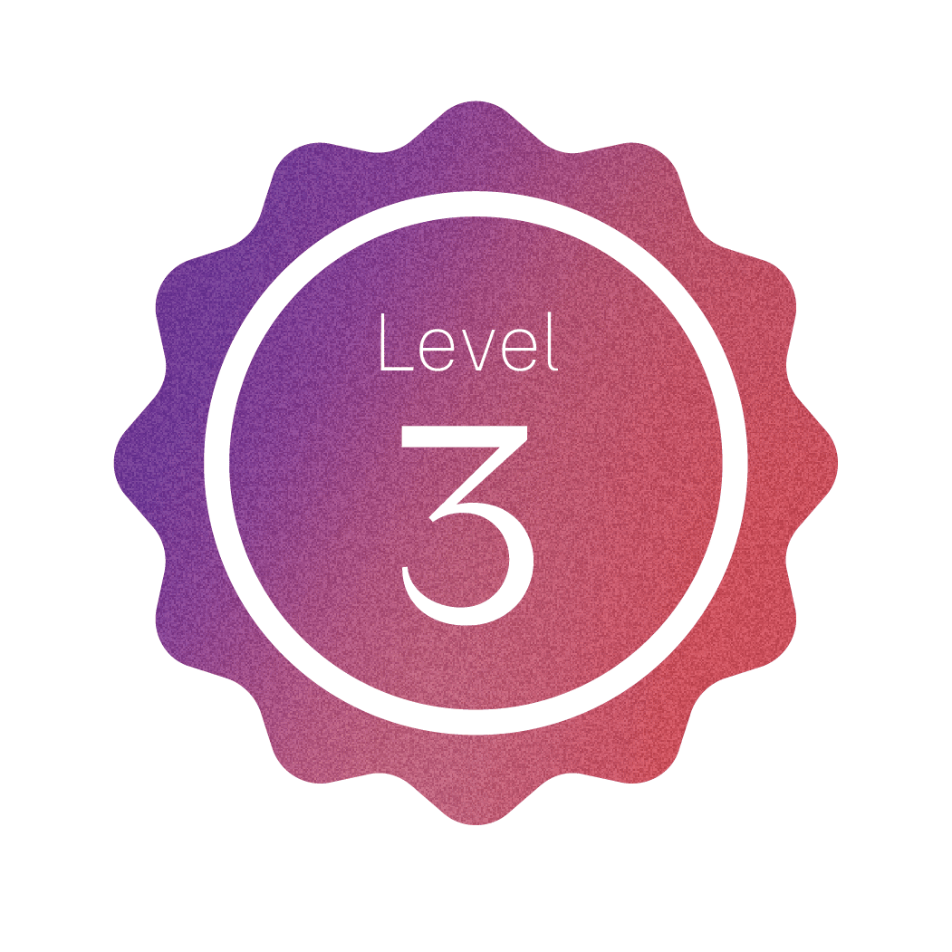 Level 3