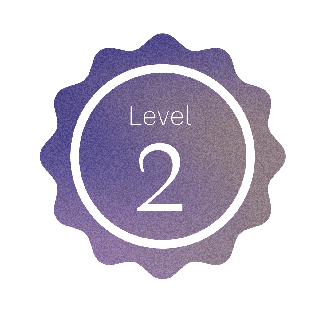 Level 2