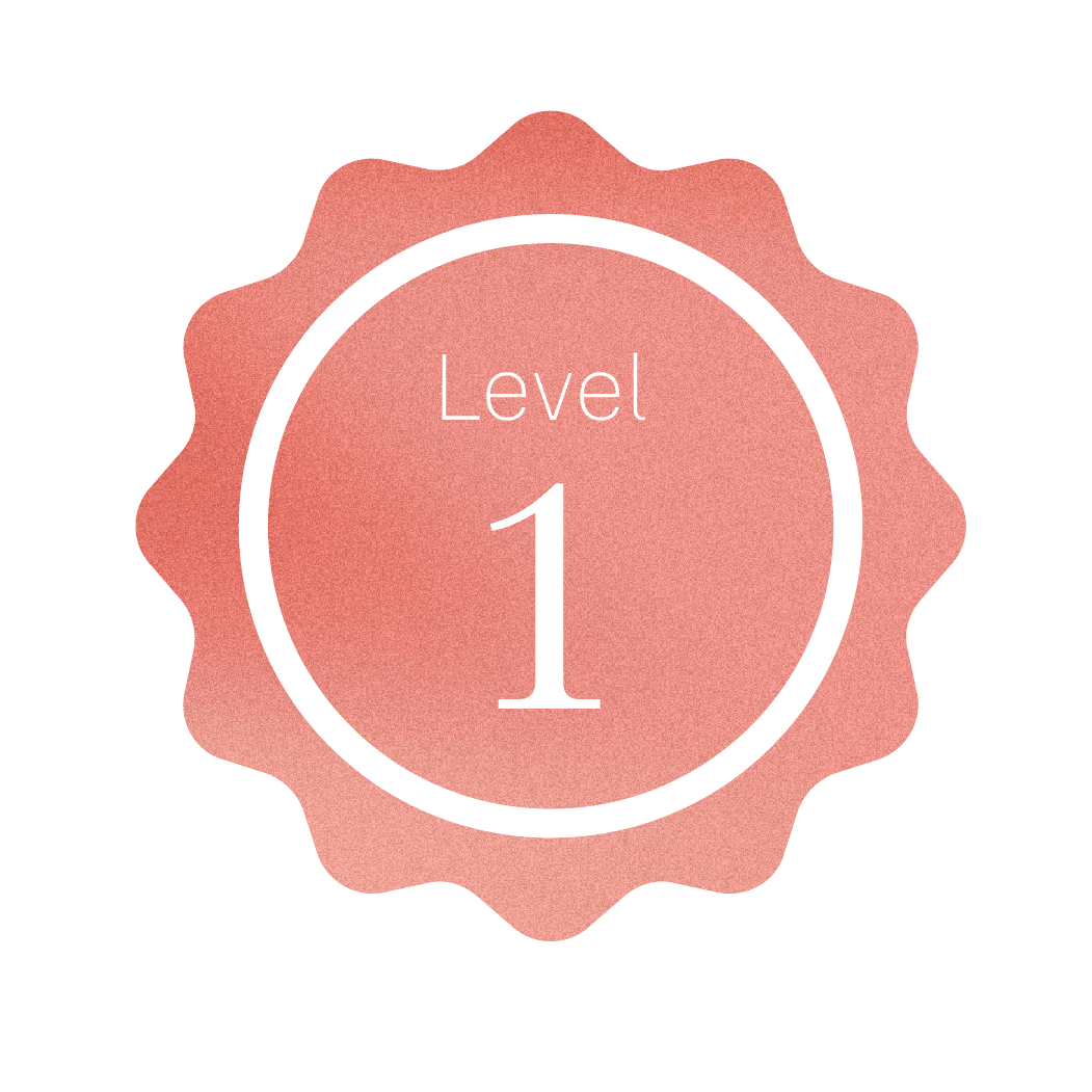 Level 1