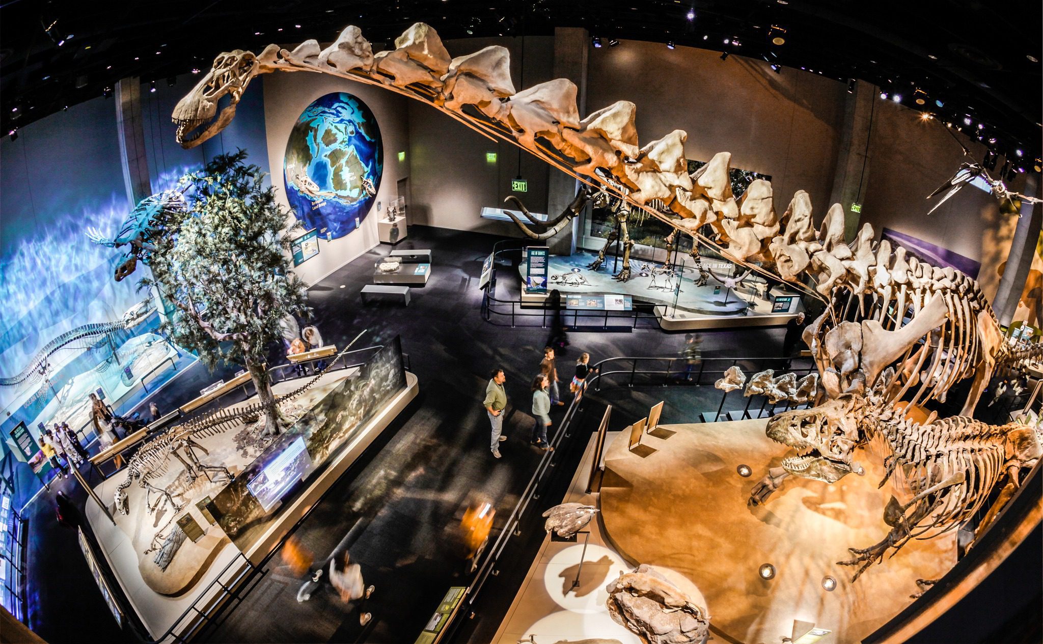 Get Your Culture Fix: Dallas Unveils the Decathlon of Museums!