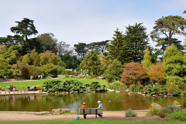Golden Gate Park’s Top Attractions and Activities!