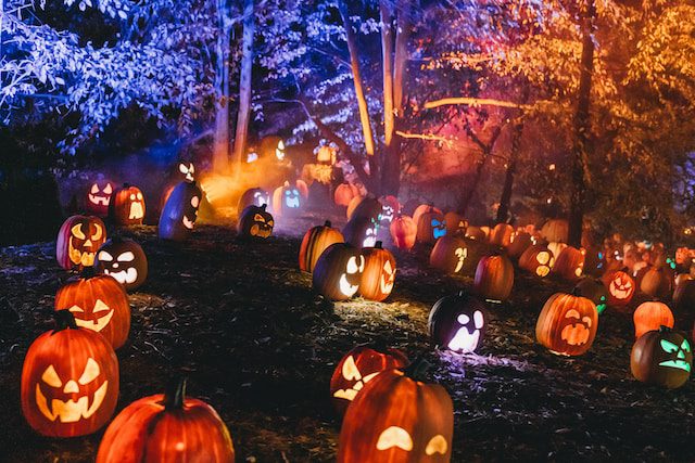 Pumpkin Spice and City Delights: Your Essential Guide to NYC’s Fall Festivities!