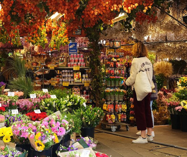 Los Mejores Rincones de Guadalajara para Encontrar Flores Increíbles