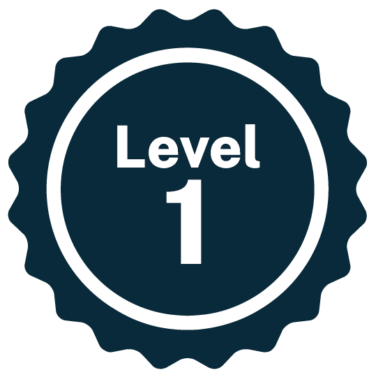 Level 1