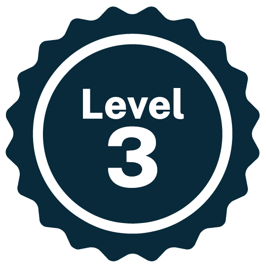 Level 3