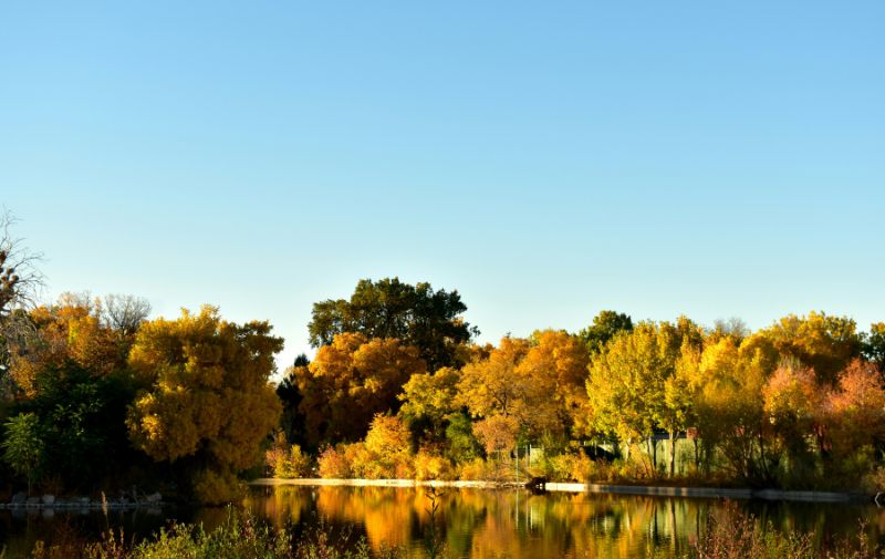 Denver’s Natural Oases: The Definitive List of the Best Denver Parks and Outdoor Spaces