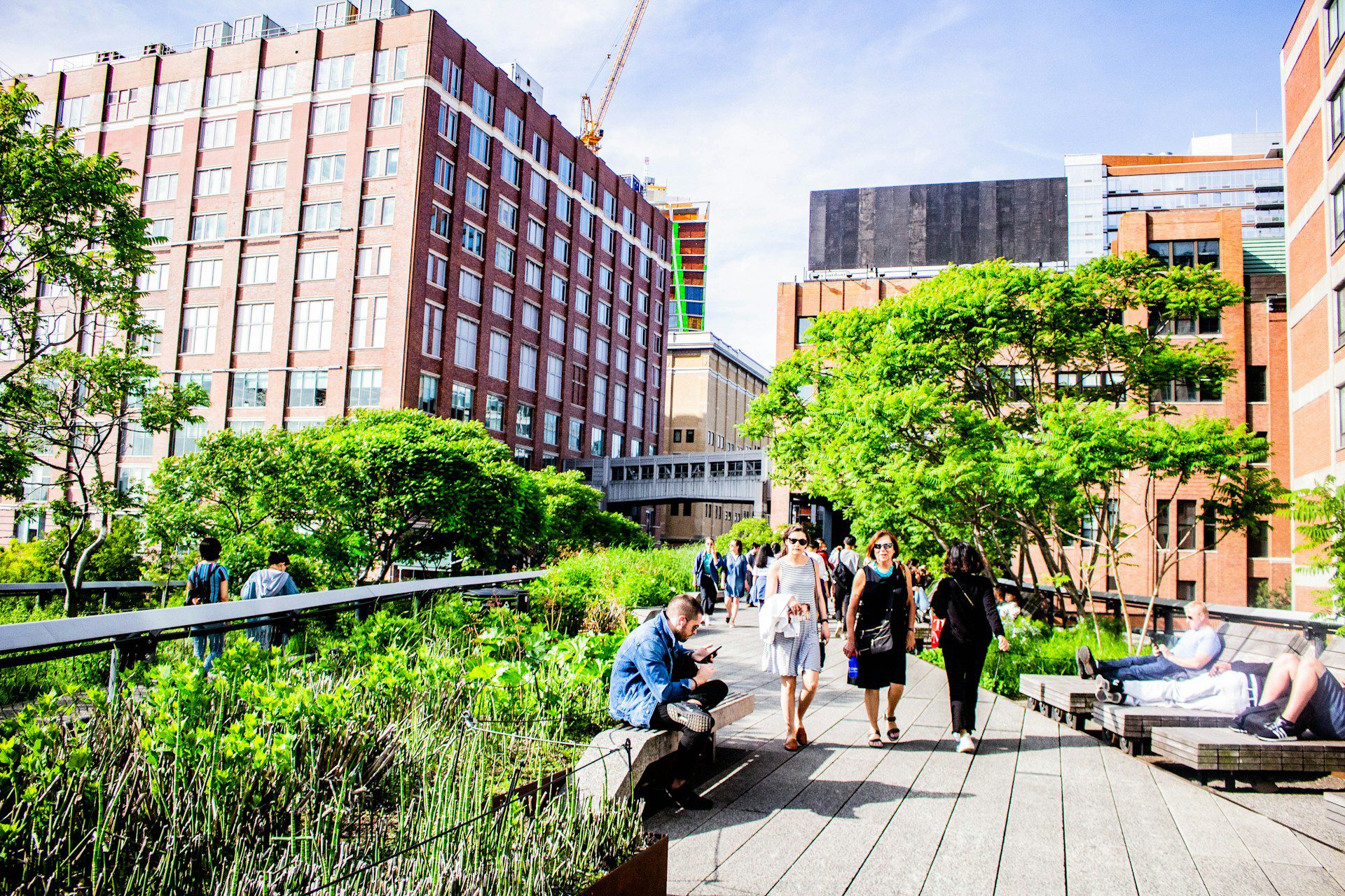 High Line Gastronomy: Exploring Dining Options Along NYC’s Elevated Park