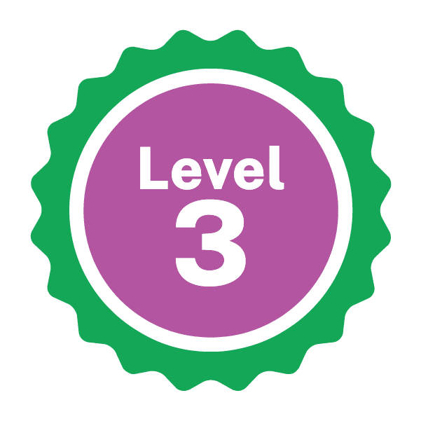 Level 3