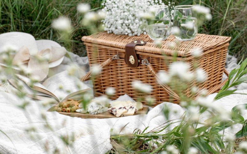 Picnic