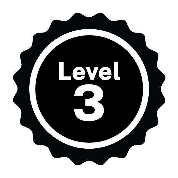 Level 3