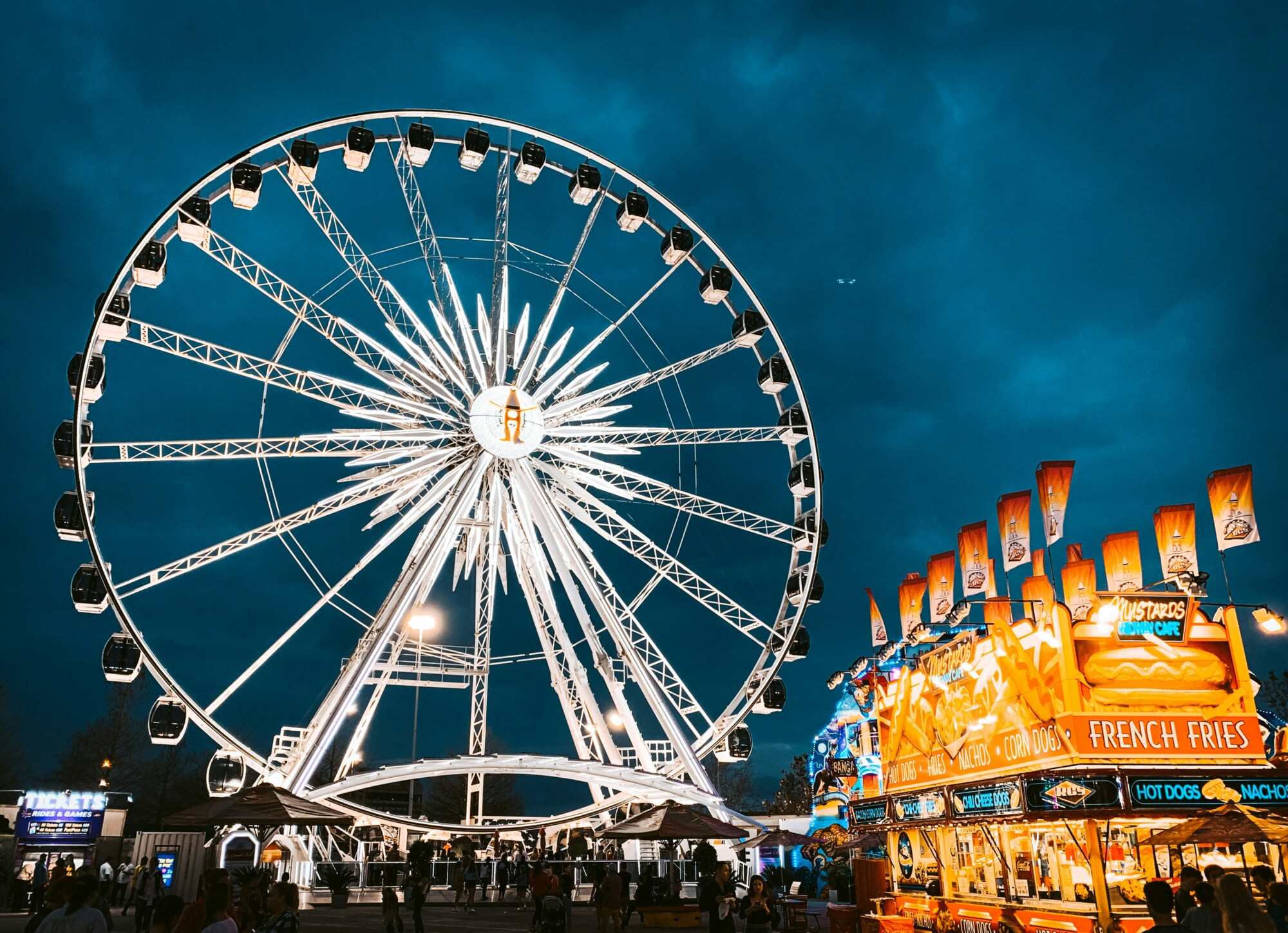 10 Best Birthday in Houston Ideas
