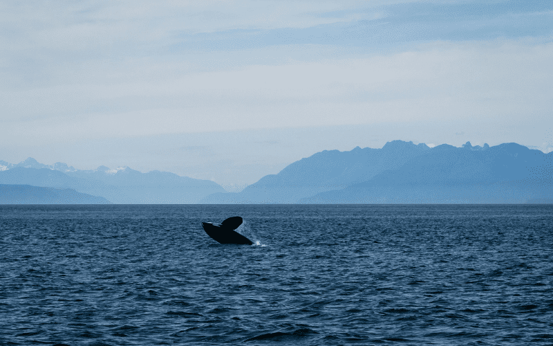 San Juan Islands