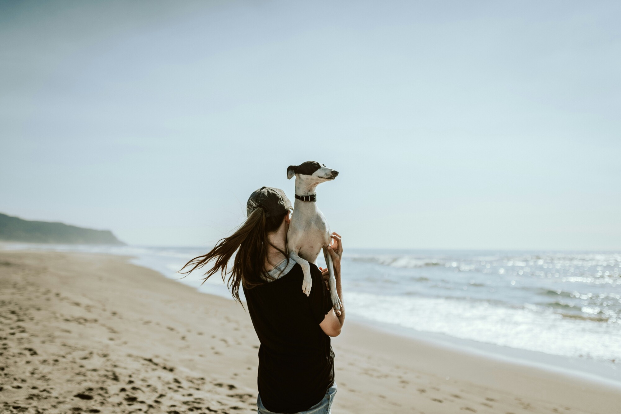 Discover Pet-Friendly Vancouver, BC