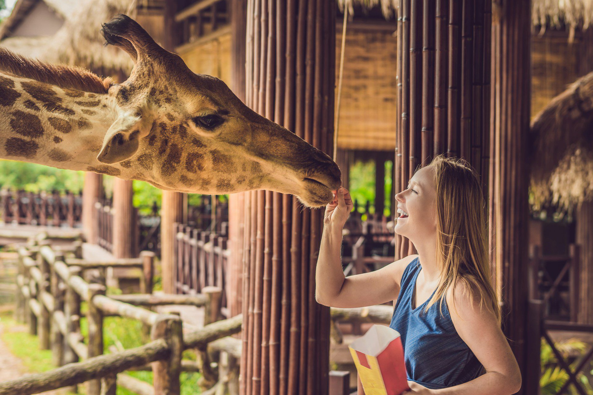 Denver Summer Fun: Top Attractions