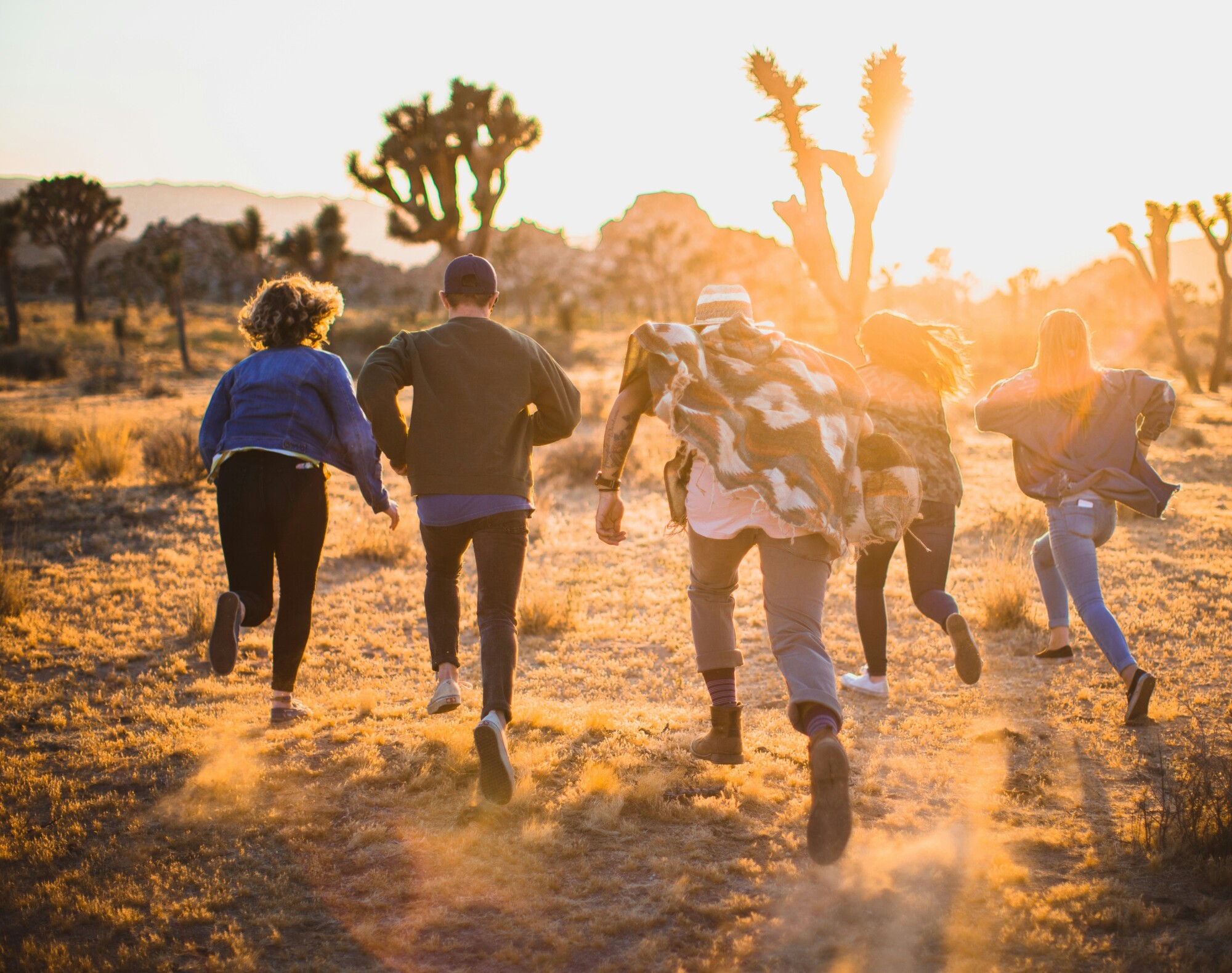The Ultimate Family Guide to Things to Do in LA with Teens