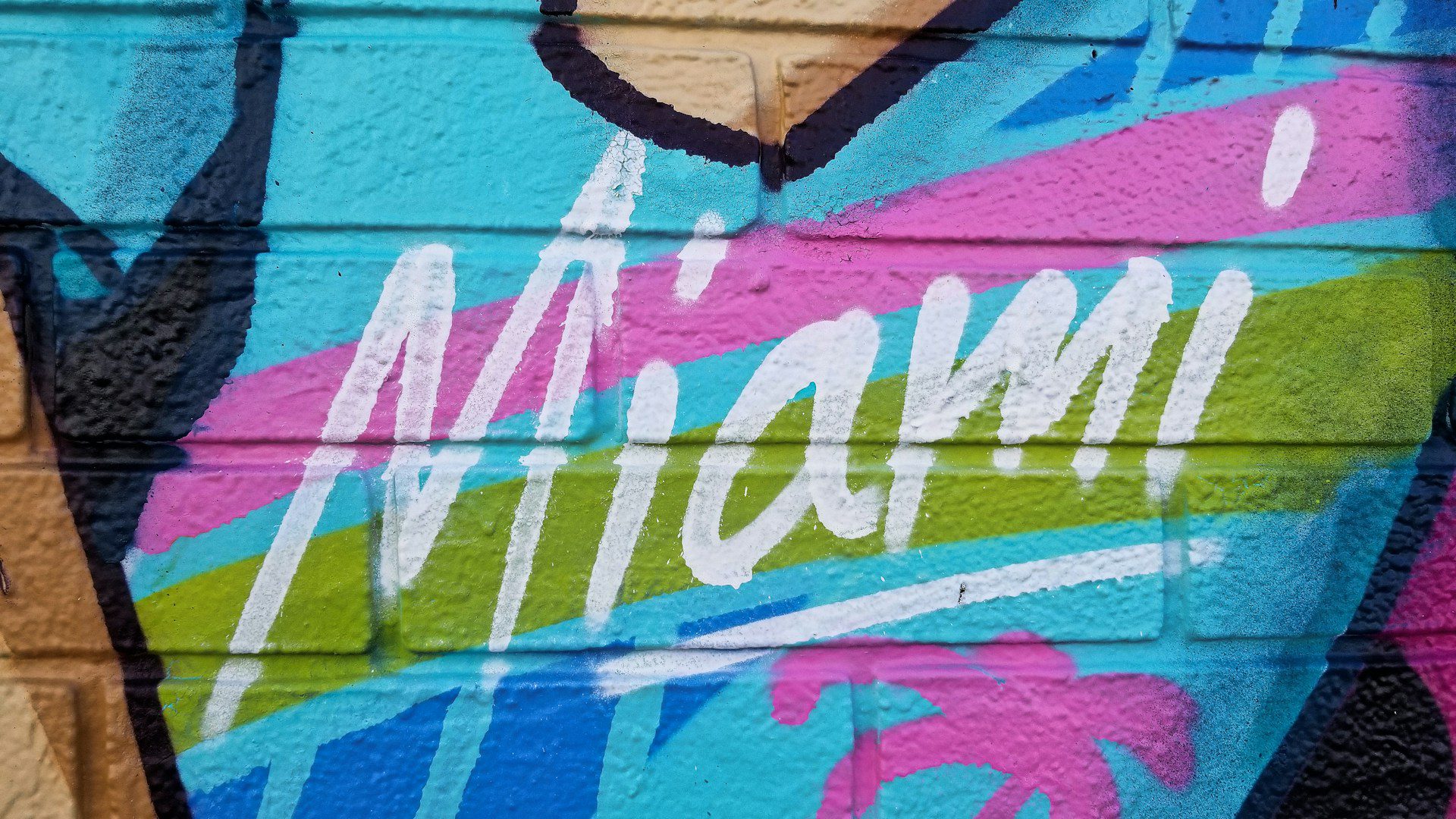 Roots on the Move: A Supporter’s Guide to Oakland Roots in Miami