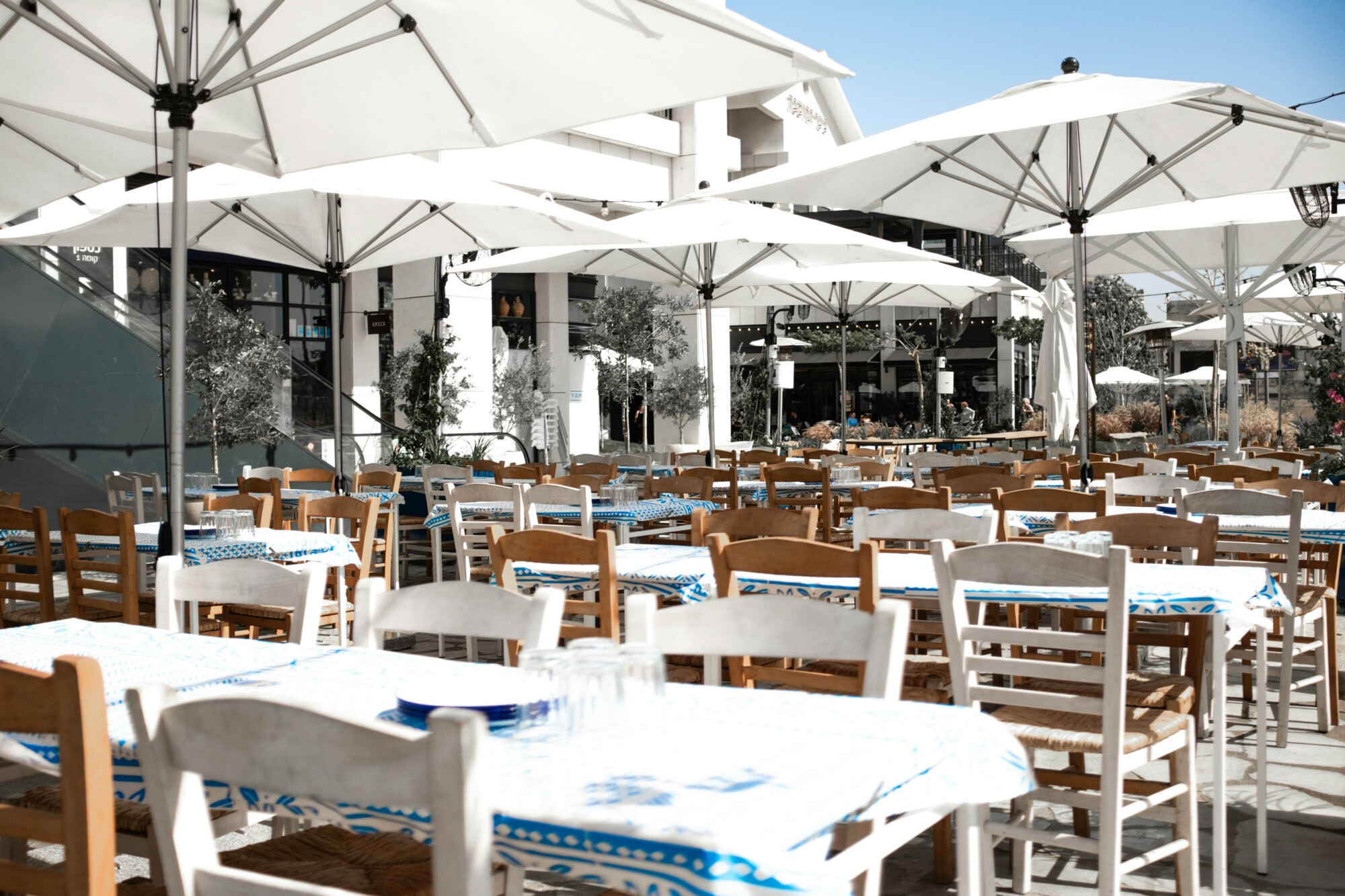 greek restaurants in tarpon springs